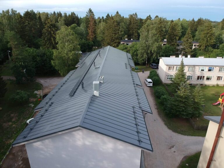 Maja Oru külas 2018 Kolgi Katused